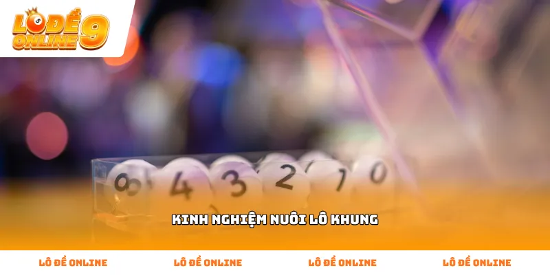 Áp dụng Kinh Nghiệm Nuôi Lô Khung để quản lý vốn hiệu quả