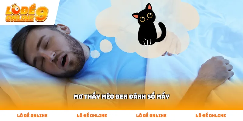 Bí kíp giải mã Mơ thấy Mèo đen đánh số mấy hiệu quả