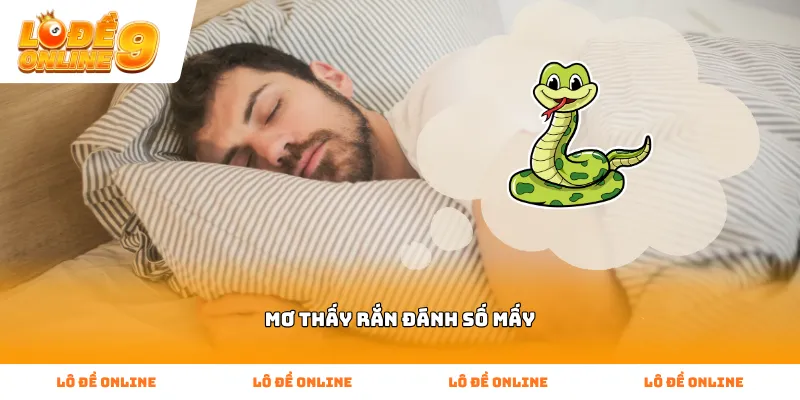 Bí kíp giải mã mơ thấy rắn đánh số mấy chính xác nhất